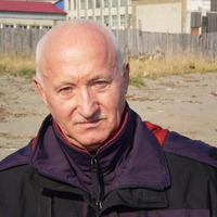 Владимир Губин