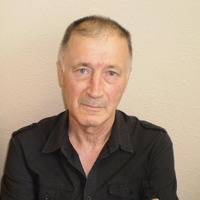 Владимир Плотников